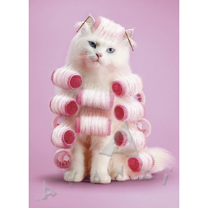 Glamour Puss Luxury Occasion Card